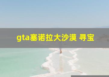 gta塞诺拉大沙漠 寻宝